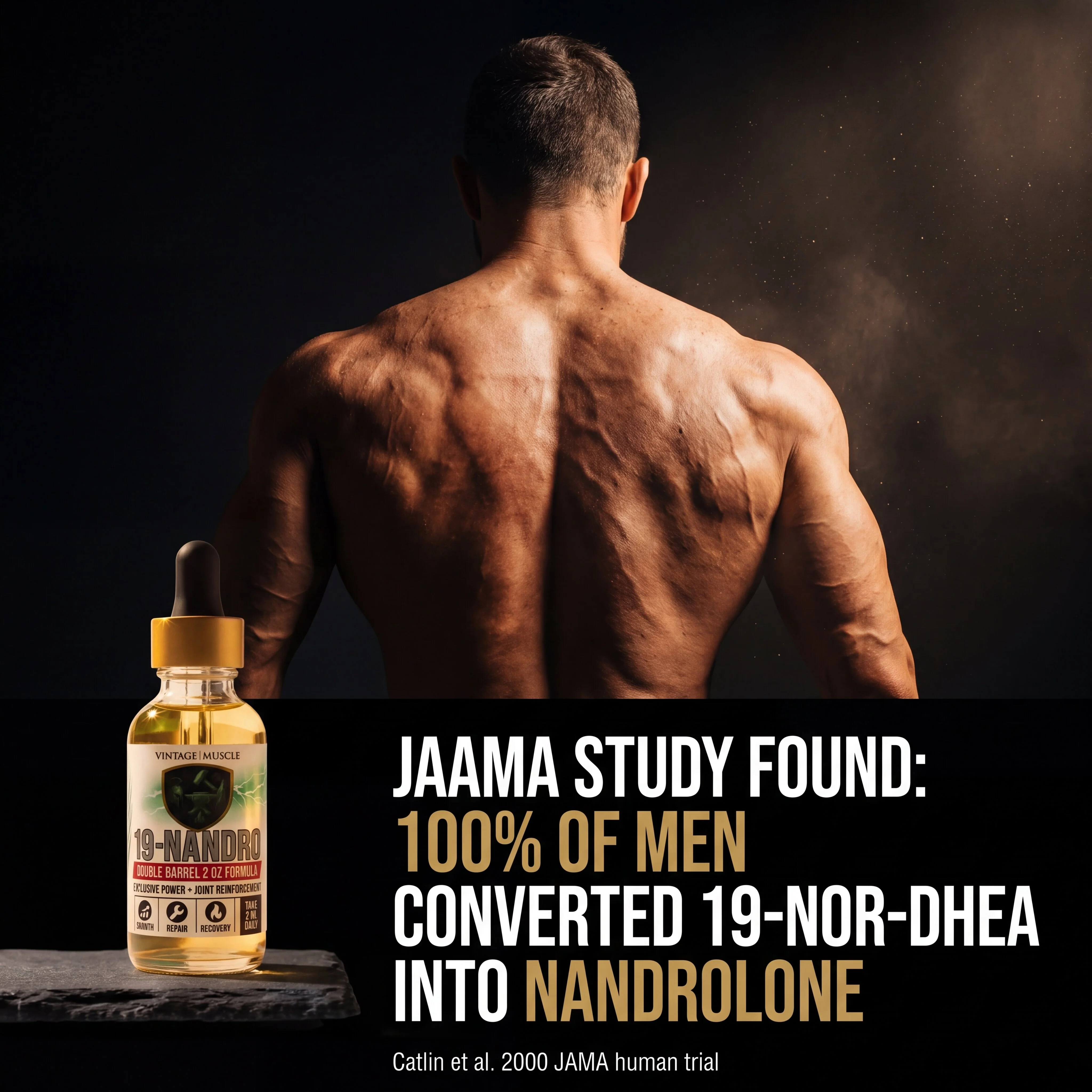 Old School Muscle & Strength, Joint Friendly - 19-Nandro - Image 3