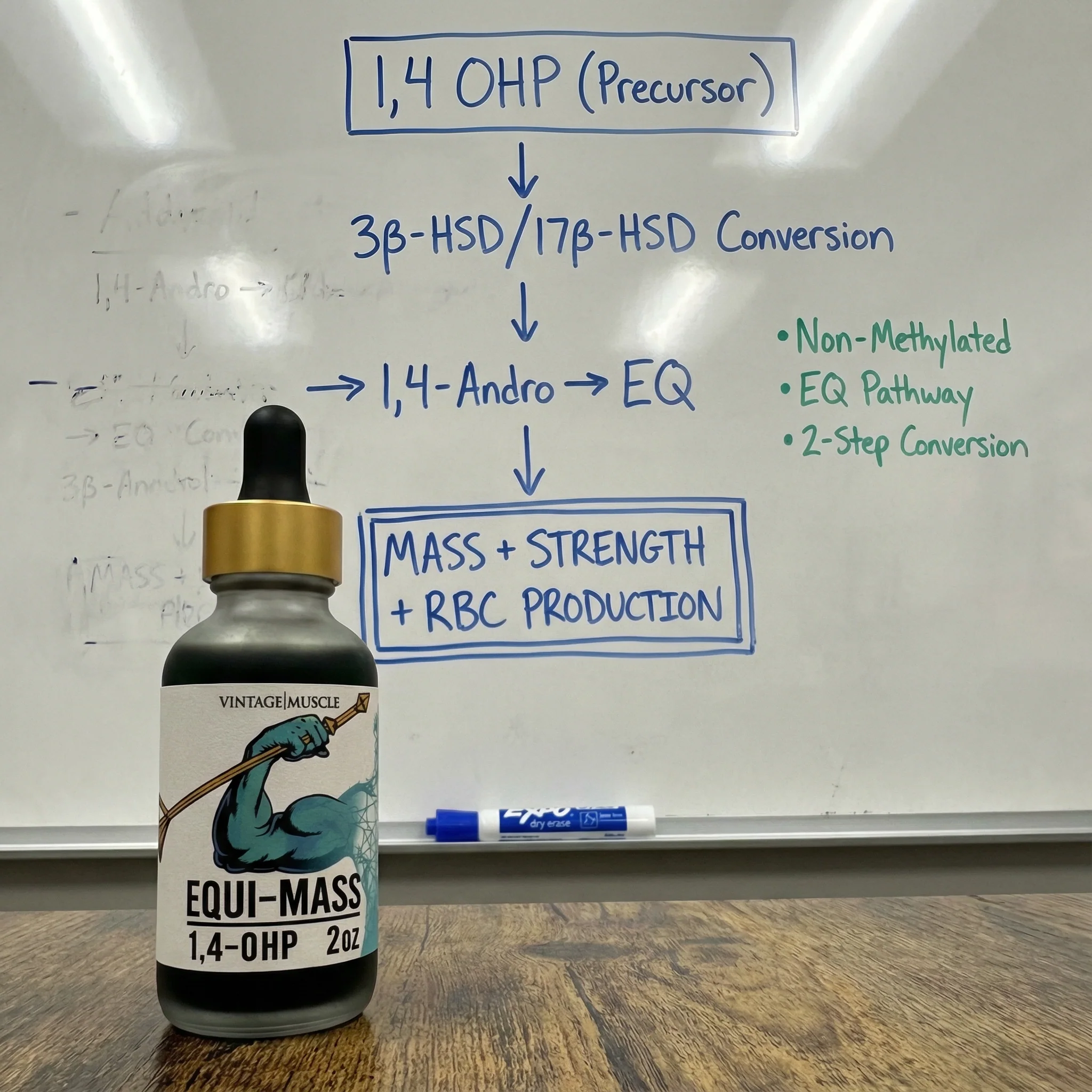 Hardgainer, Recovery, Mass Builder Blend - Equi-Mass™ - Image 6