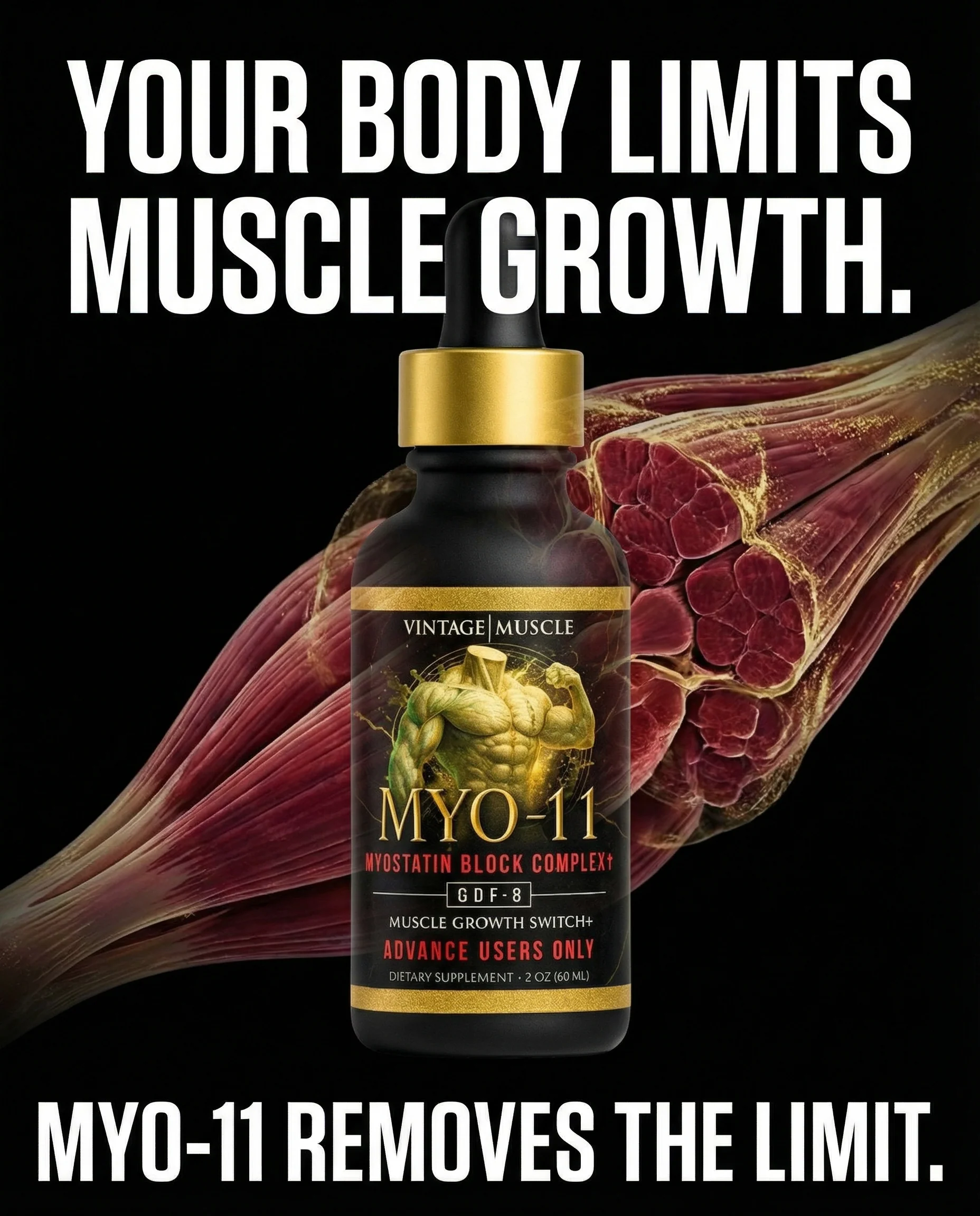 Myostatin Inhibitor Muscle Builder - MYO-11 - Image 16