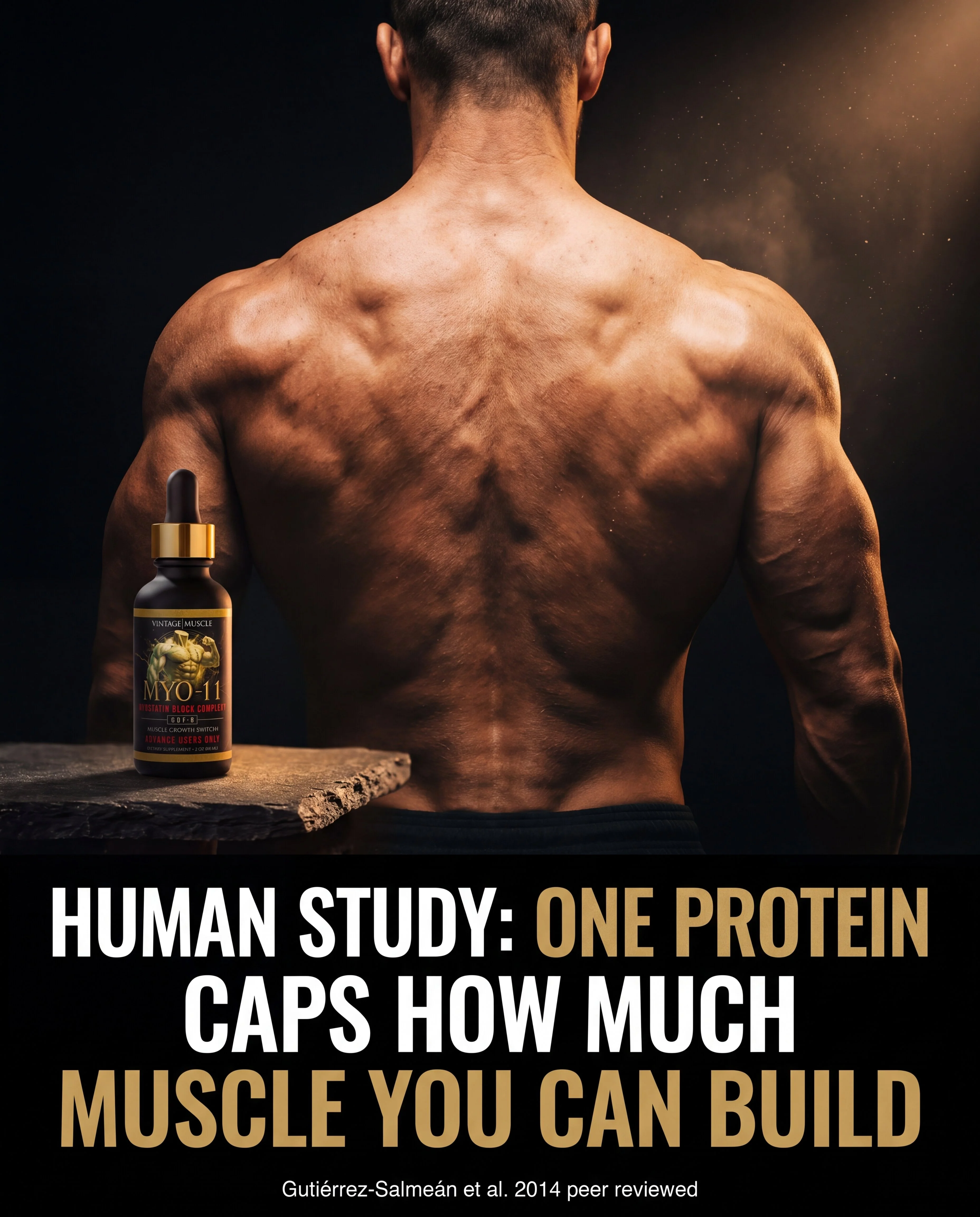 Myostatin Inhibitor Muscle Builder - MYO-11 - Image 7