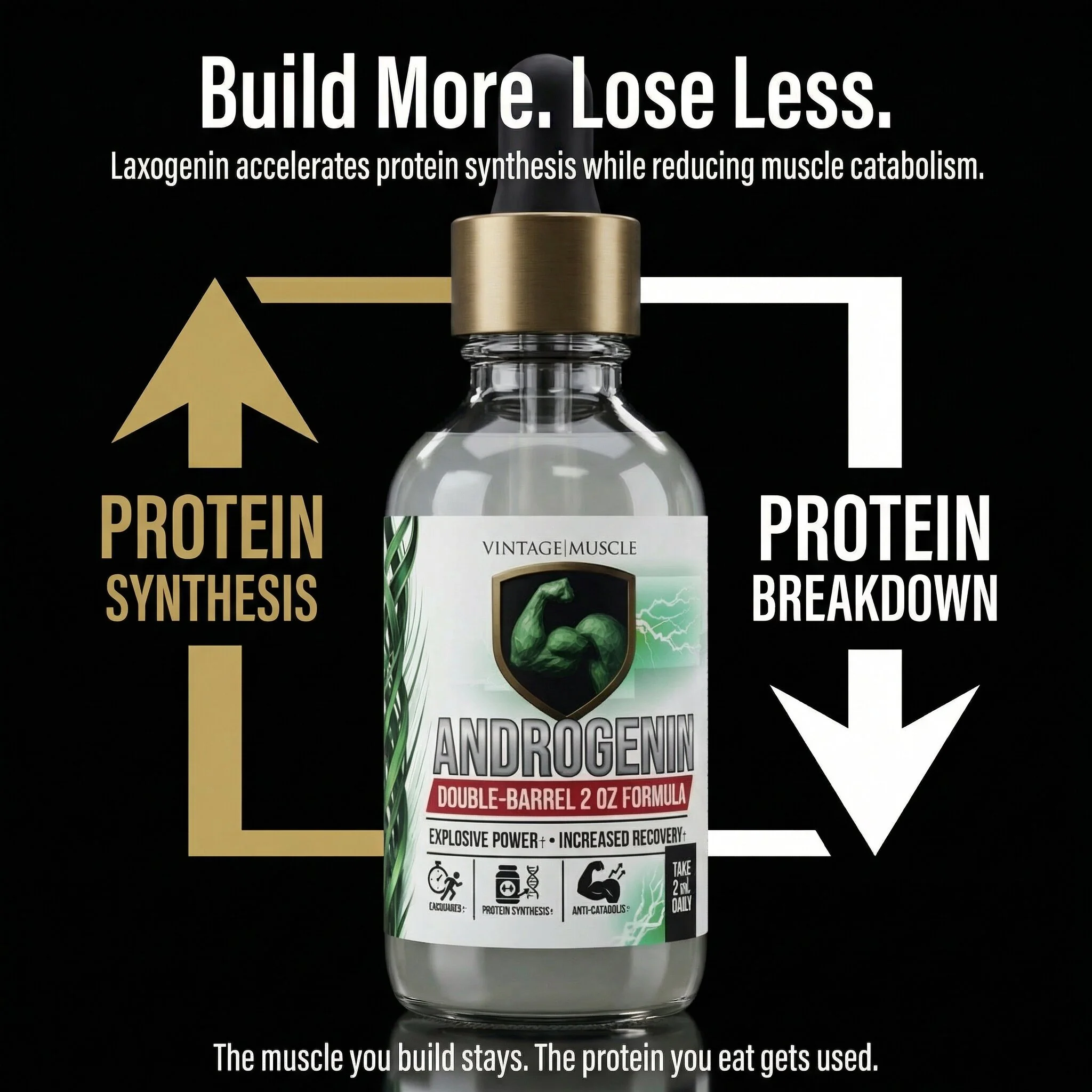 Plant Anabolic Activator, Protein Synthesis Accelerator - Androgenin™ - Image 3