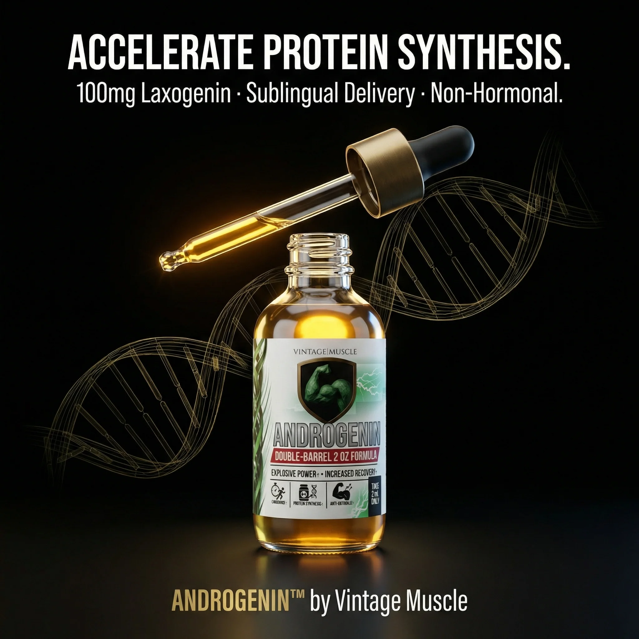Plant Anabolic Activator, Protein Synthesis Accelerator - Androgenin™ - Image 4