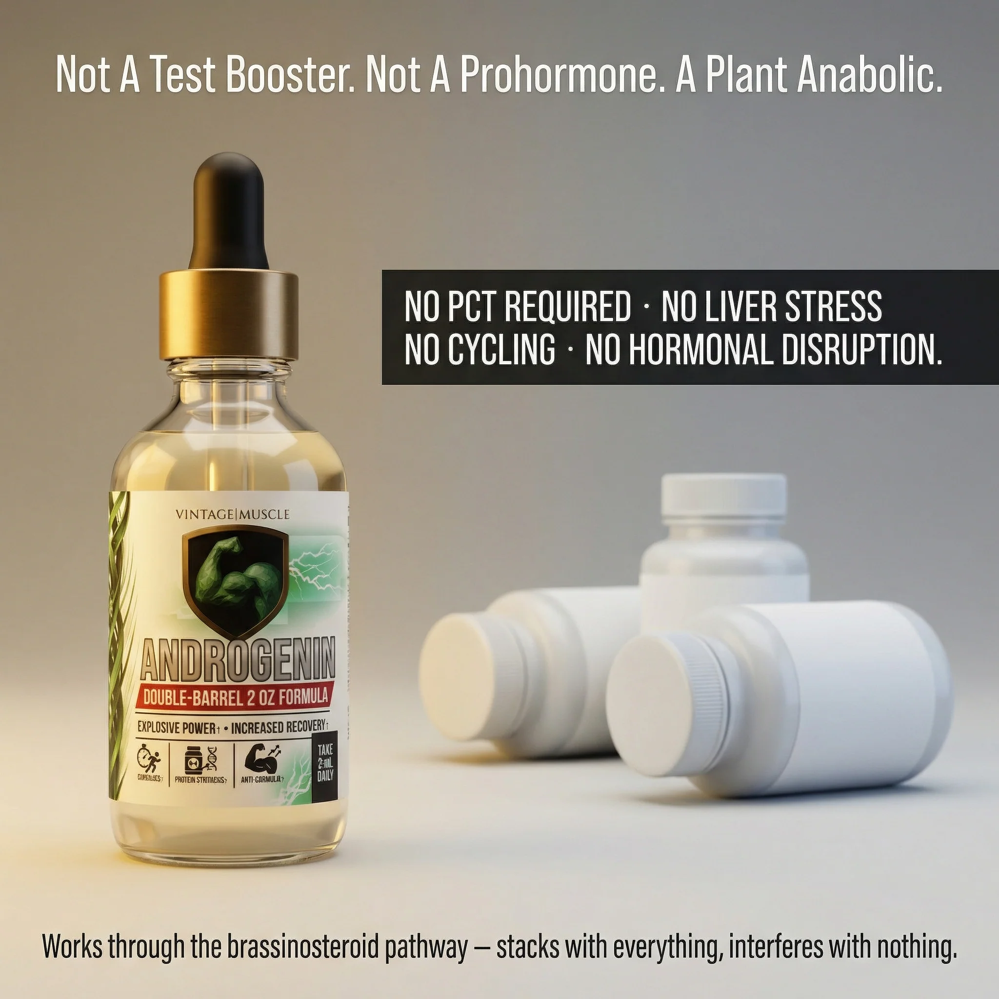 Plant Anabolic Activator, Protein Synthesis Accelerator - Androgenin™ - Image 5