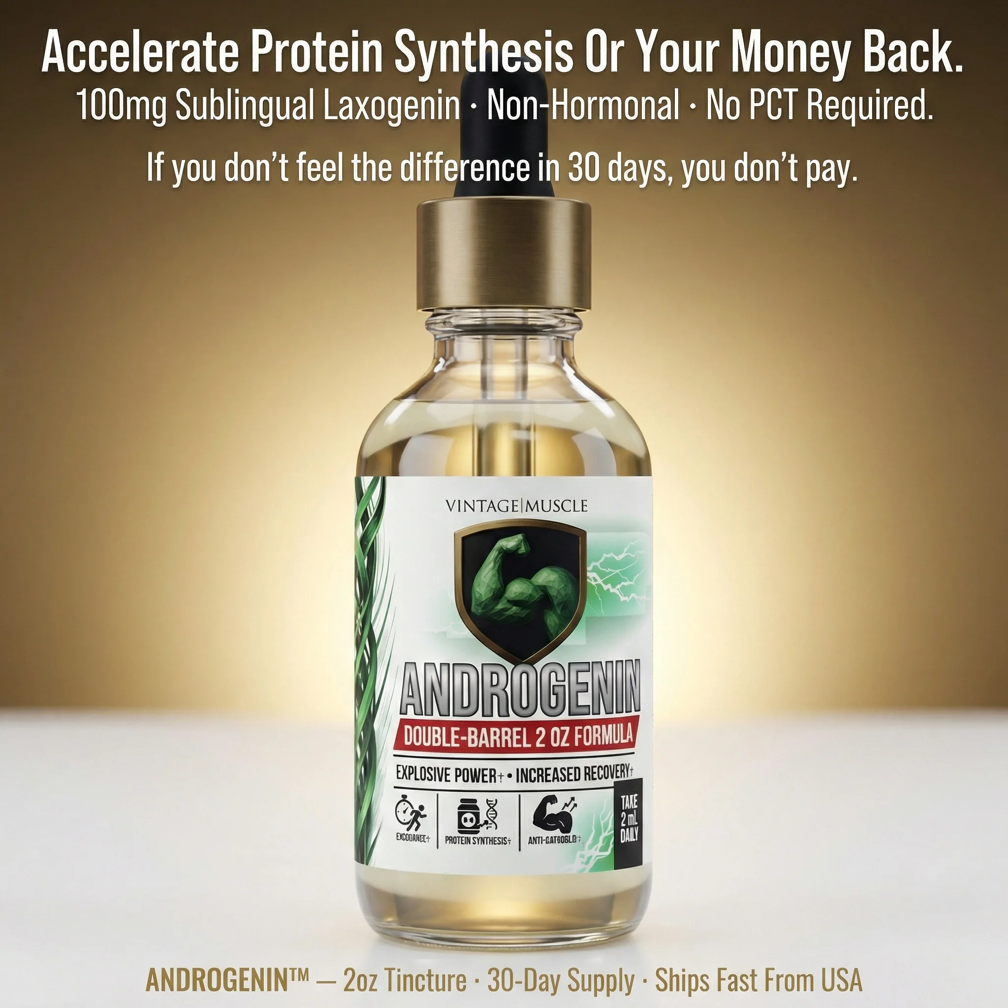 Plant Anabolic Activator, Protein Synthesis Accelerator - Androgenin™ - Image 6