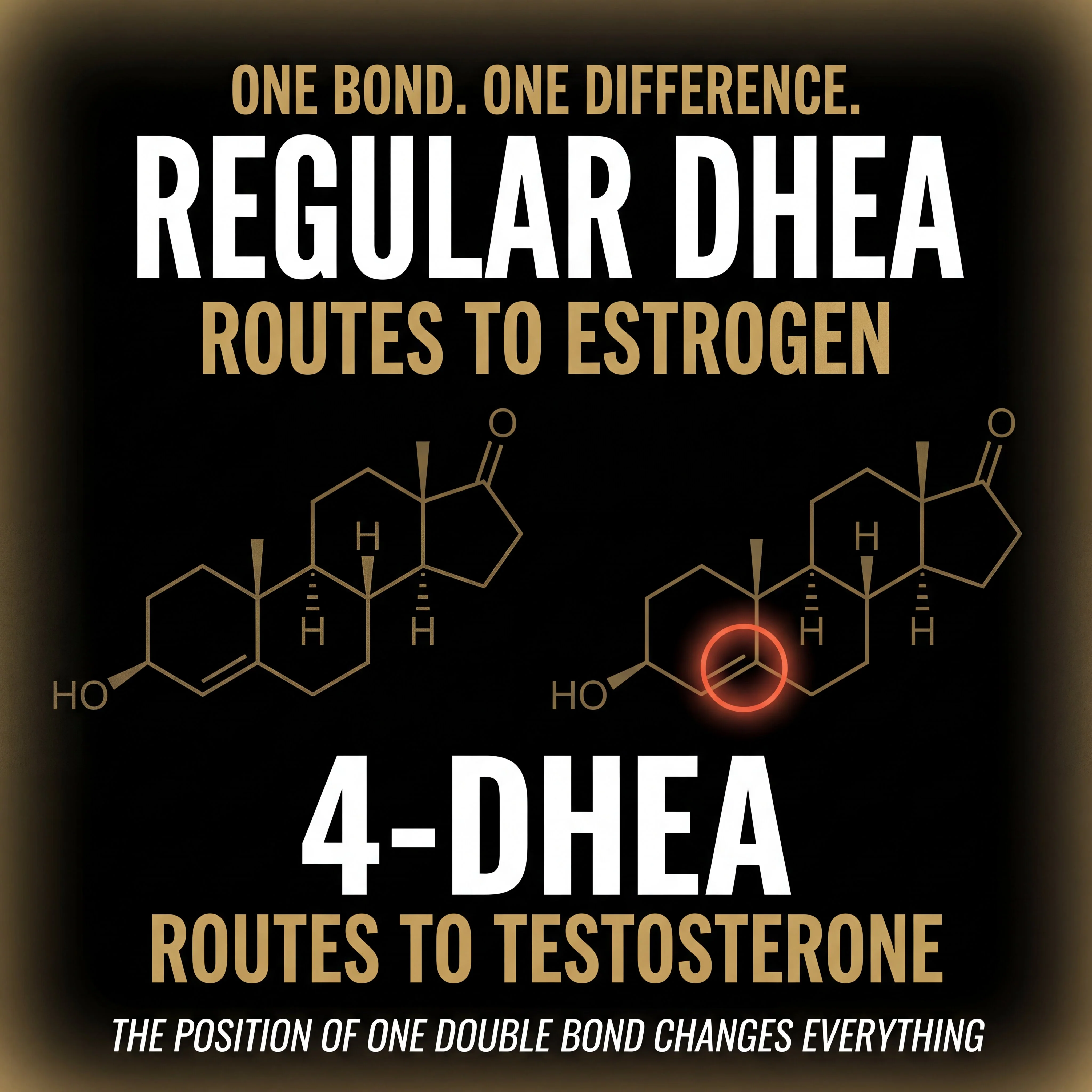 Testosterone Precursor - RAD-Mass - Image 5