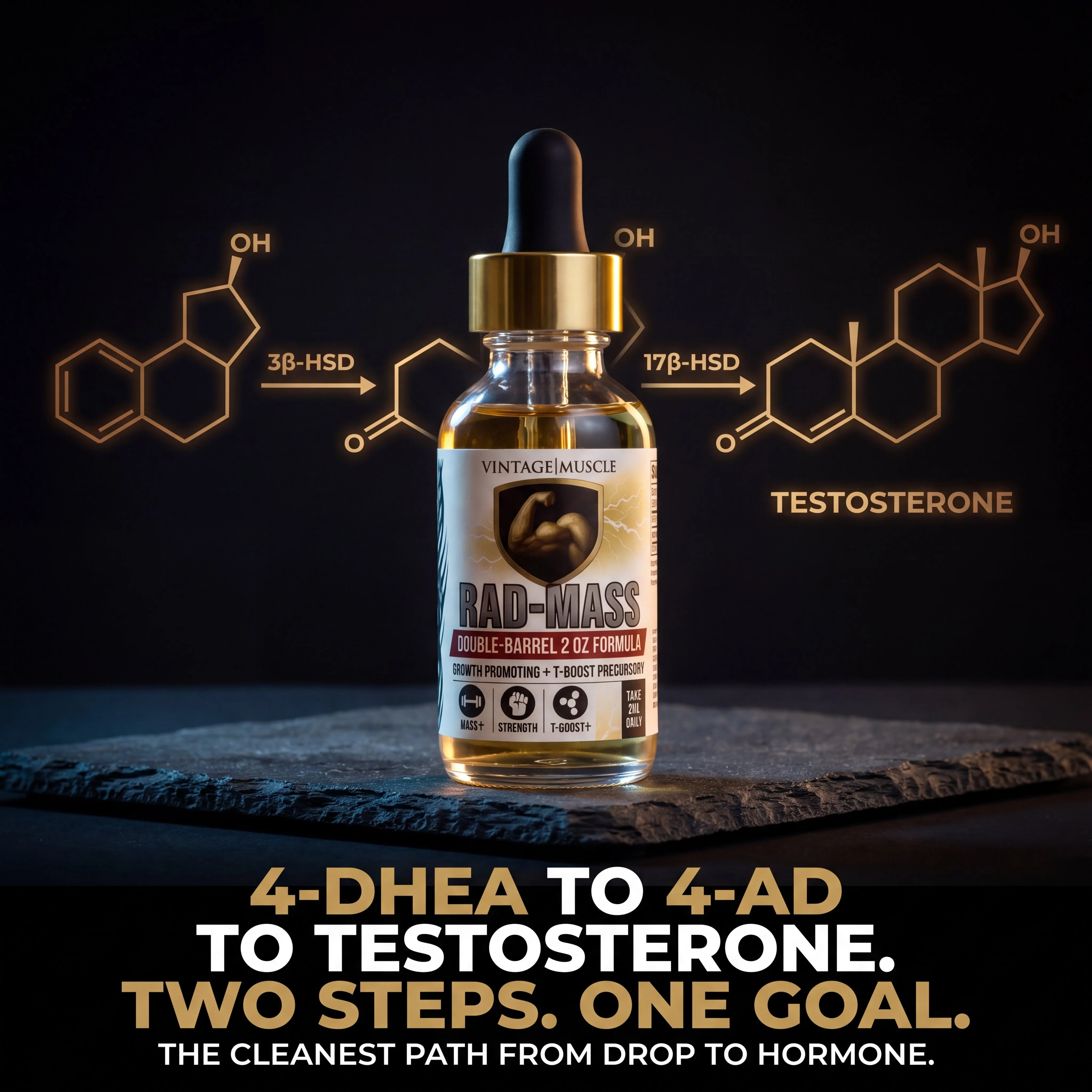 Testosterone Precursor - RAD-Mass - Image 6