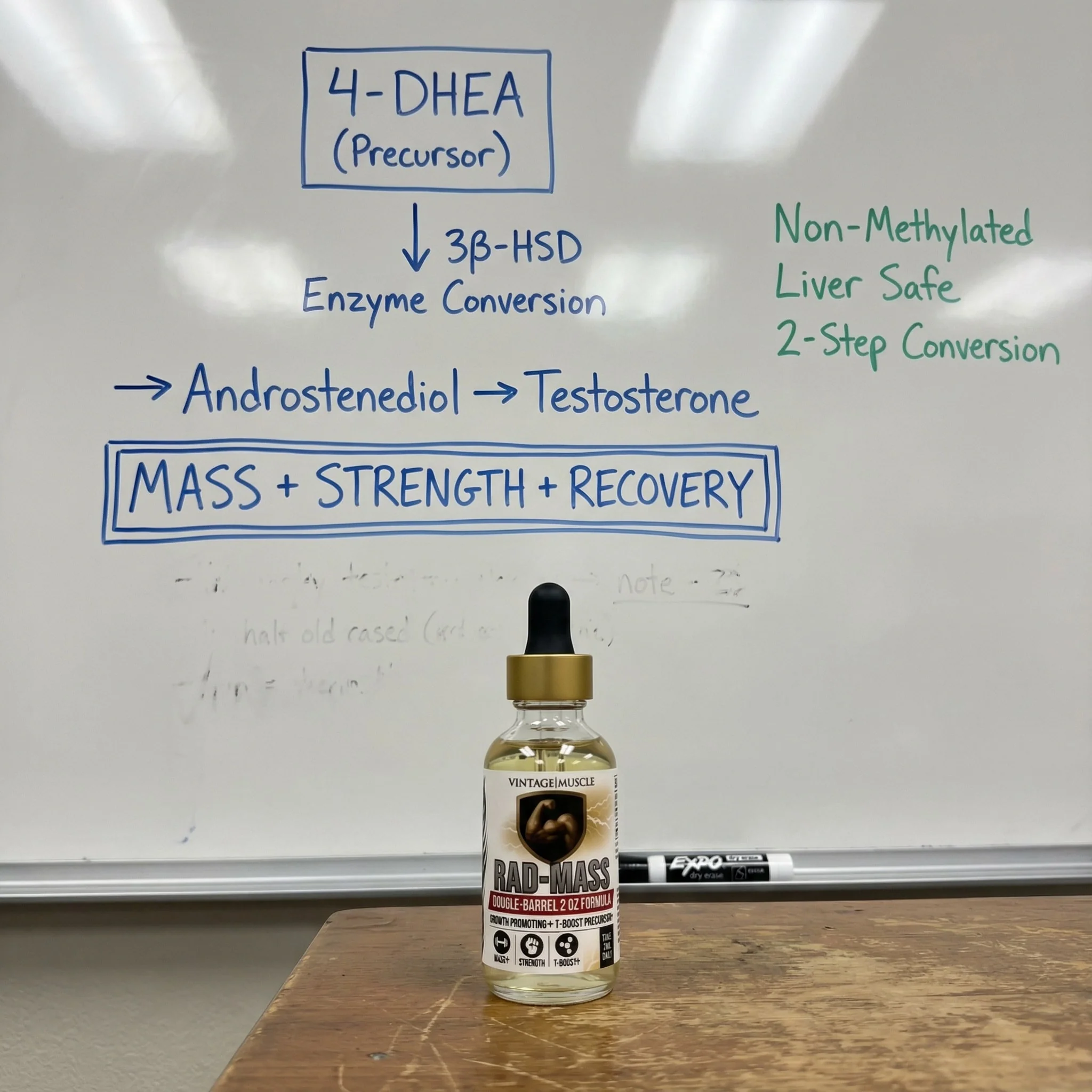Testosterone Precursor - RAD-Mass - Image 7