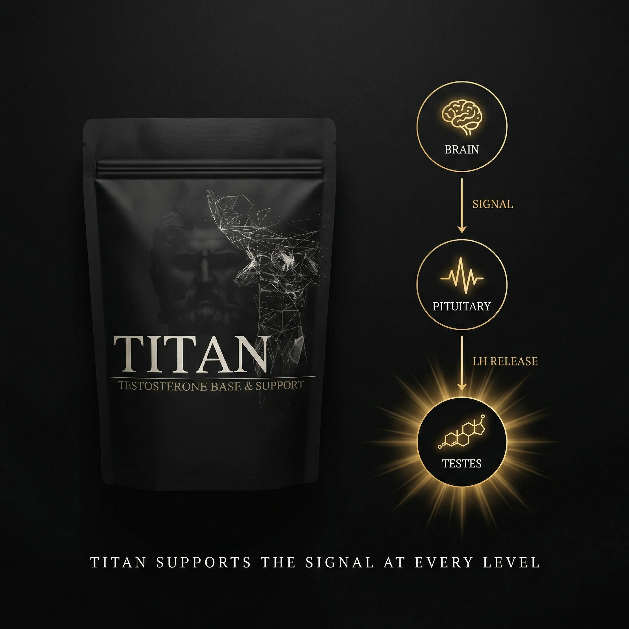 Natty Testosterone Base Blend - TITAN - Image 11