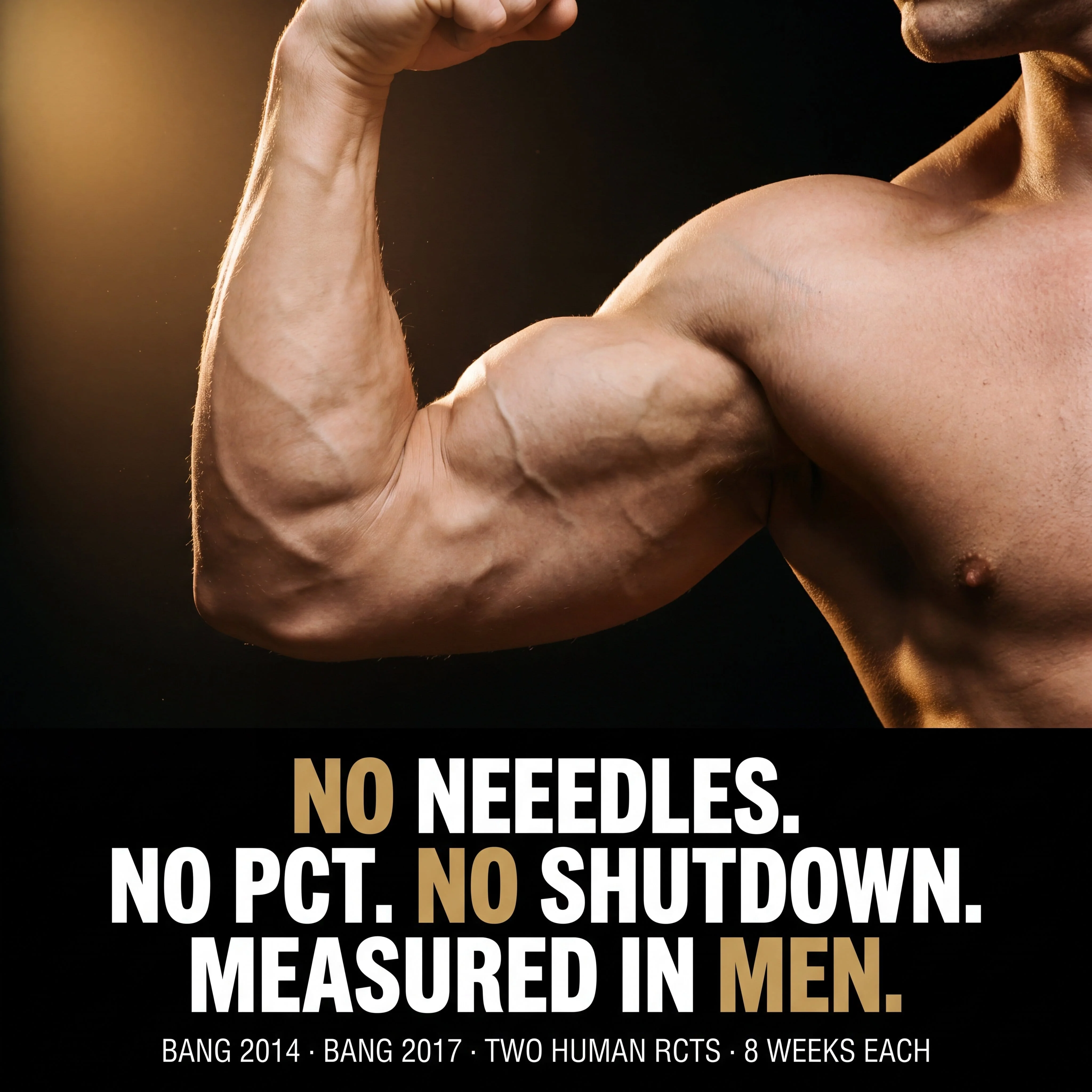Muscle Density Activator - Uronabol - Image 10